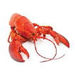 pairing-lobster
