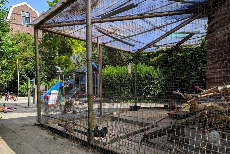 Een Gokkast met een Geheim: Het Legendarische Chicken Road Spel in Netherlands