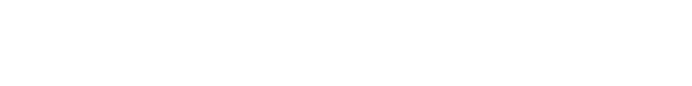 UX/UI Designer & Wordpress Developer
